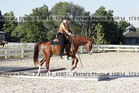 Proof Number 10r14_1791