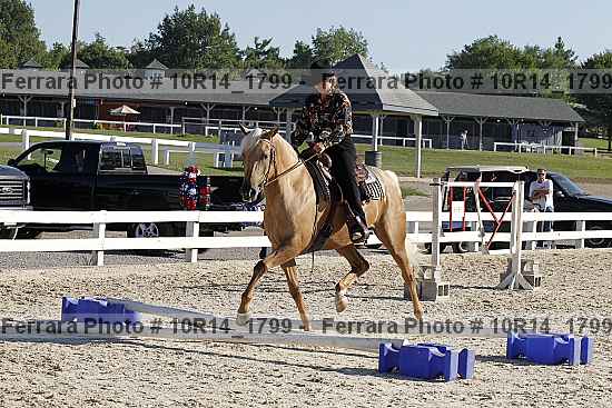 Proof Number 10r14_1799