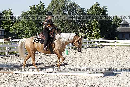 Proof Number 10r14_1801