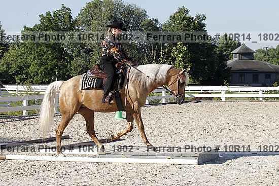 Proof Number 10r14_1802