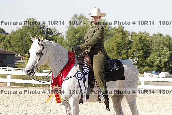 Proof Number 10r14_1807