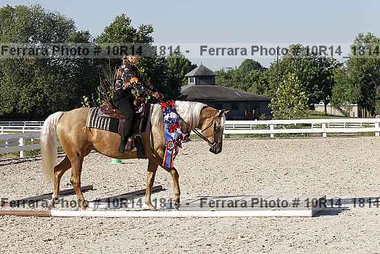 Proof Number 10r14_1814
