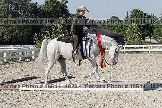 Proof Number 10r14_1825