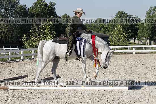 Proof Number 10r14_1826