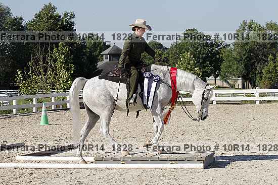Proof Number 10r14_1828