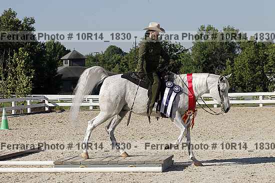 Proof Number 10r14_1830