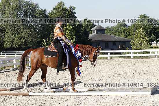 Proof Number 10r14_1831