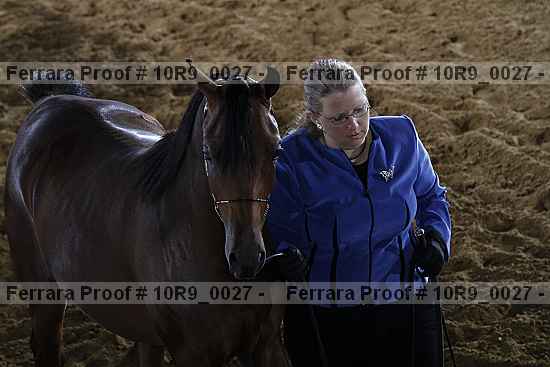 Proof Number 10r9_0027