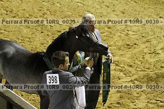 Proof Number 10r9_0030
