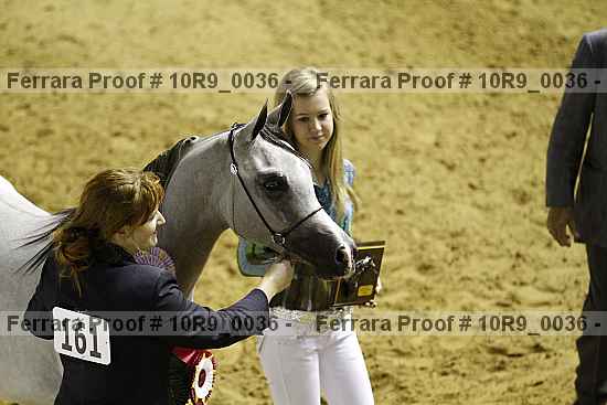 Proof Number 10r9_0036