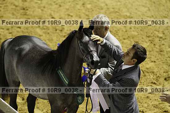 Proof Number 10r9_0038