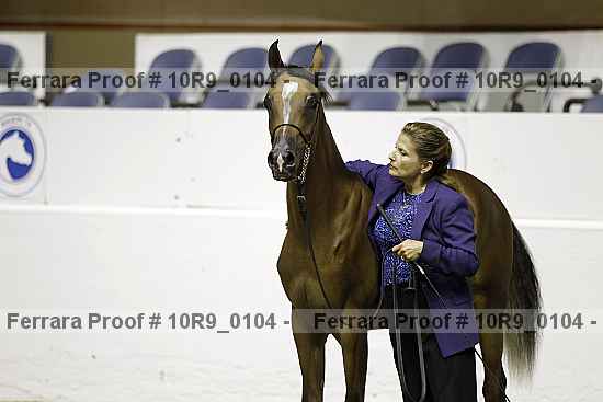 Proof Number 10r9_0104