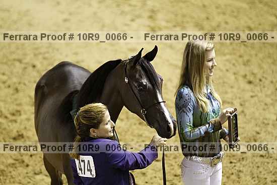 Proof Number 10r9_0066