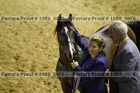 Proof Number 10r9_0076