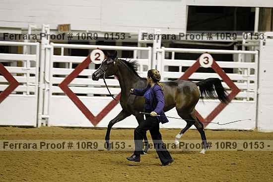 Proof Number 10r9_0153
