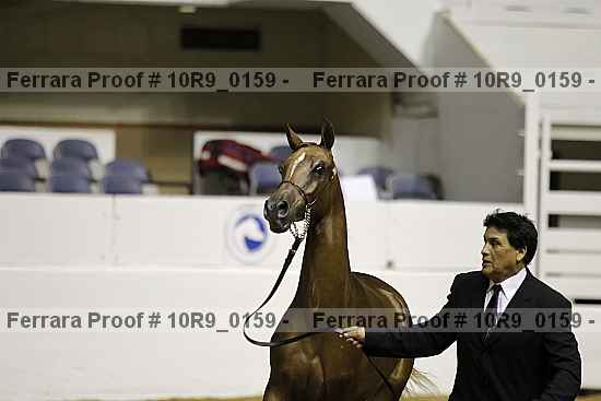 Proof Number 10r9_0159