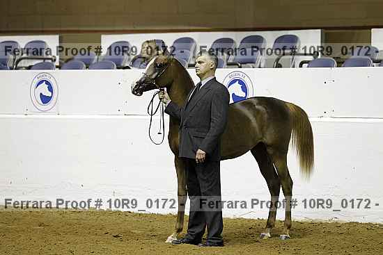 Proof Number 10r9_0172