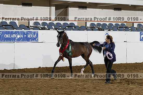 Proof Number 10r9_0198