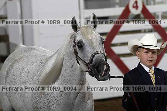 Proof Number 10r9_0094