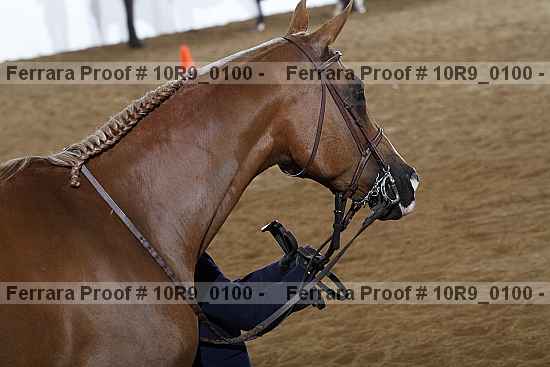 Proof Number 10r9_0100