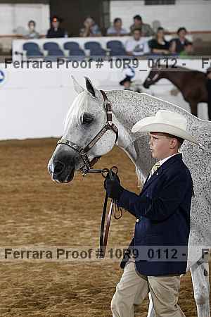 Proof Number 10r9_0112