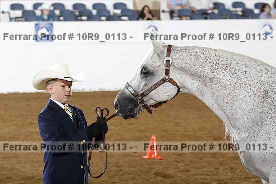 Proof Number 10r9_0113