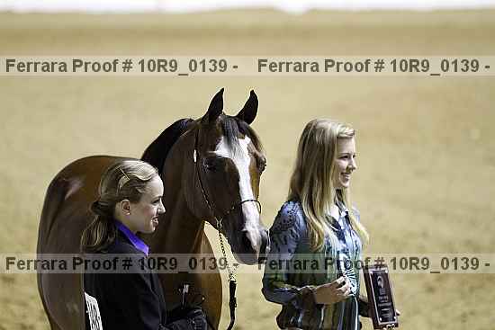 Proof Number 10r9_0139