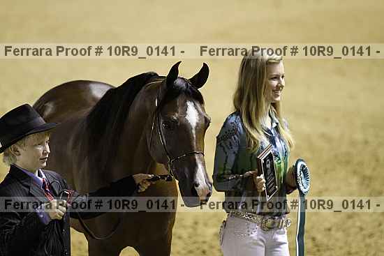 Proof Number 10r9_0141