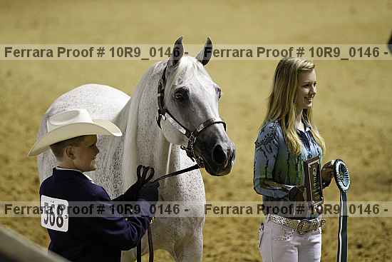 Proof Number 10r9_0146