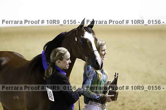 Proof Number 10r9_0156