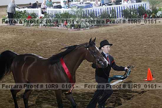 Proof Number 10r9_0161