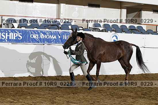 Proof Number 10r9_0229