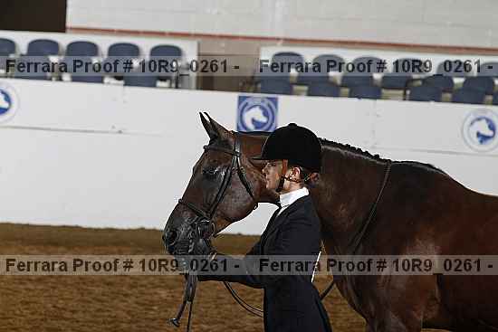 Proof Number 10r9_0261