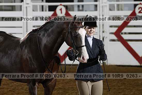 Proof Number 10r9_0263