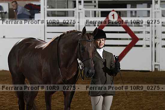 Proof Number 10r9_0275