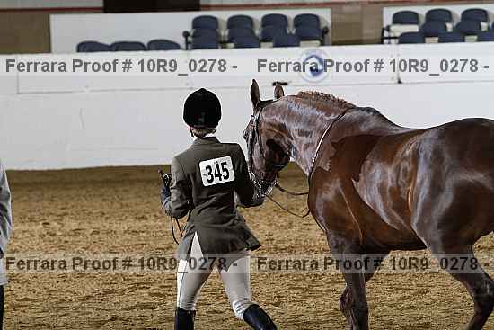 Proof Number 10r9_0278