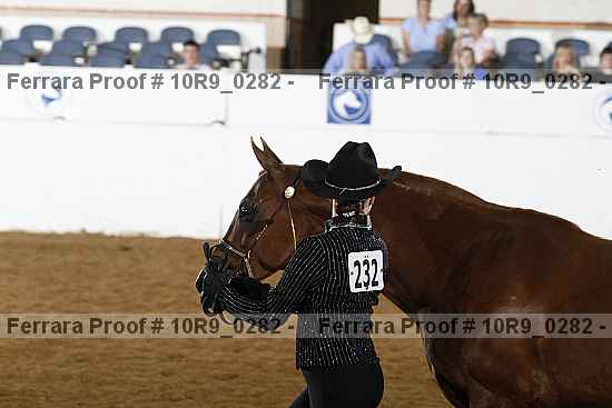 Proof Number 10r9_0282