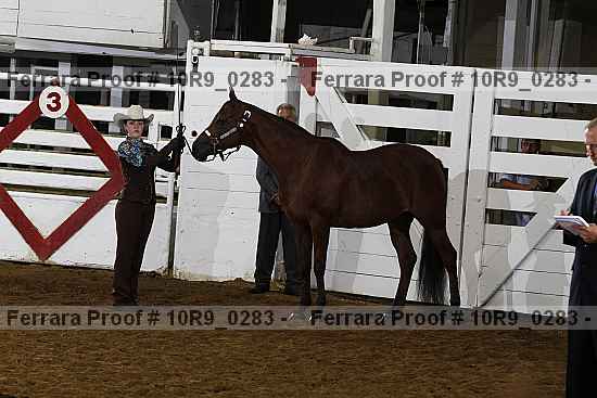 Proof Number 10r9_0283