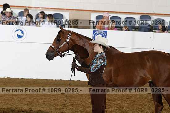 Proof Number 10r9_0285