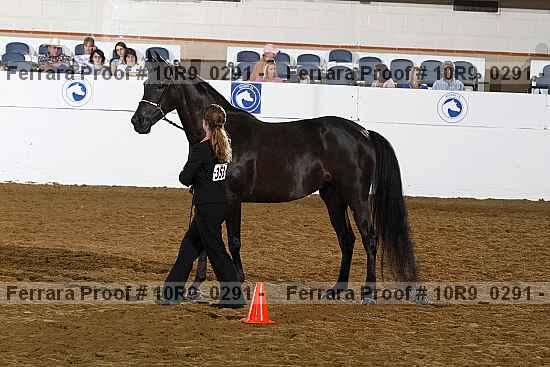 Proof Number 10r9_0291