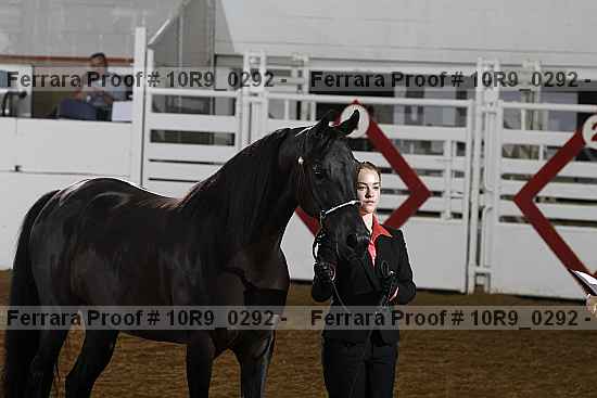 Proof Number 10r9_0292