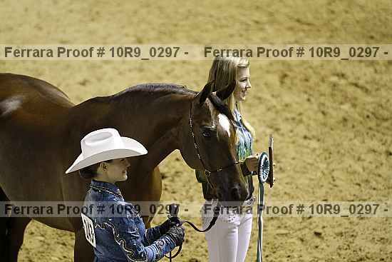 Proof Number 10r9_0297