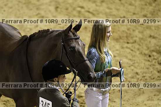 Proof Number 10r9_0299
