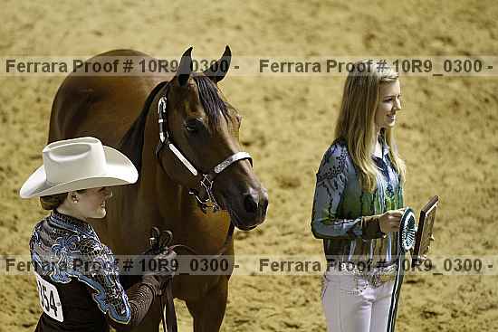 Proof Number 10r9_0300