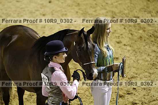 Proof Number 10r9_0302