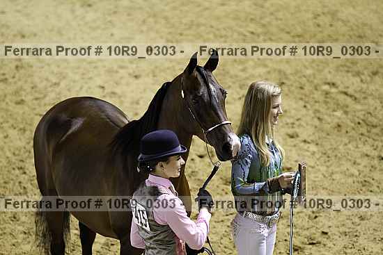 Proof Number 10r9_0303