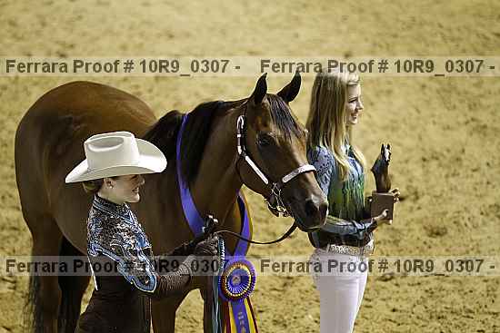 Proof Number 10r9_0307