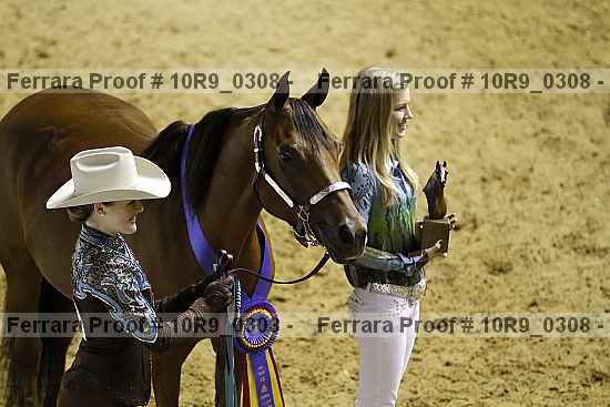 Proof Number 10r9_0308