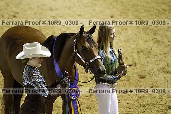 Proof Number 10r9_0309