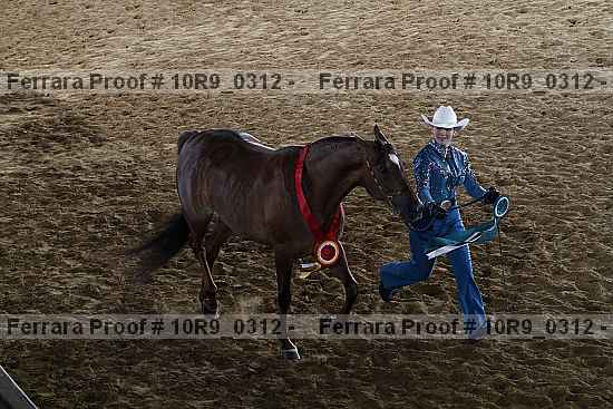 Proof Number 10r9_0312